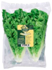 Angebot im EDEKA Scharnebeck Prospekt EDEKA Scharnebeck Prospekt mit im Angebot für 1,49 €