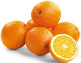 Bio Orangen bei REWE im Nalbach Prospekt für 1,99 €