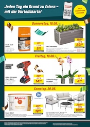 Orchidee im toom Baumarkt Prospekt in Ludwigshafen Aktueller toom Baumarkt Prospekt mit Orchidee, "Respekt, wer's selber macht.", Seite 3