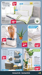 Blumenständer Angebot & Preis im aktuellen Netto mit dem Scottie Prospekt Blumenständer Angebot im aktuellen Netto mit dem Scottie Prospekt auf Seite 21