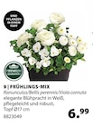 FRÜHLINGS-MIX bei Dehner Garten-Center im Neuötting Prospekt für 6,99 €