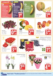 Kirschen im Marktkauf Prospekt Kirschen im Marktkauf Prospekt Top Angebote auf S. 6