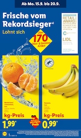 Aktueller Lidl Prospekt mit Bananen, "LIDL LOHNT SICH", Seite 2