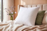 Aktuelle Kopfkissen Angebote bei Sconto SB in Erfurt Aktuelles Federkopfkissen Angebot bei Sconto SB in Erfurt ab 4,99 €