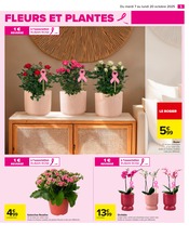 Orchidée Angebote im Prospekt "TOUTES EN BEAUTÉ" von Carrefour auf Seite 7