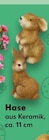Hase Angebote bei Kaufland Wermelskirchen für 1,00 €