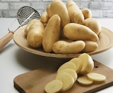 Pomme de terre de consommation à chair ferme Princesse Amandine - Hyper U à Liévin Pomme de terre de consommation à chair ferme Princesse Amandine en promo chez Hyper U Liévin à 3,19 €
