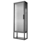Wandschrank mit Böden/Glastür anthrazit von MOSSJÖN für 79,00 € bei IKEA im Angebot Wandschrank mit Böden/Glastür anthrazit von MOSSJÖN im aktuellen IKEA Prospekt