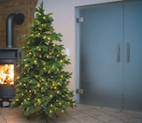 Aktuelles Künstlicher Weihnachtsbaum Roswell Kiefer Angebot bei toom Baumarkt in Rottenburg (Neckar) ab 269,99 €