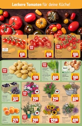Schnittblumen Angebot im aktuellen REWE Prospekt auf Seite 7