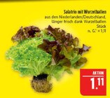 Aktuelles Salatrio mit Wurzelballen Angebot bei Marktkauf in Nürnberg ab 1,11 €