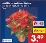 Aktuelles geglitterter Weihnachtsstern Angebot bei Netto Marken-Discount in Hamburg ab 3,49 €