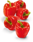 Aktuelles Paprika rot Angebot bei Netto Marken-Discount in Krefeld ab 1,49 €