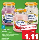 Heidelbeere oder Erdbeere oder Stracciatella Angebote von Landliebe bei Kaufland Dessau-Roßlau für 1,11 €