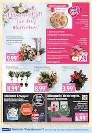 Pflanzen Angebot im aktuellen Marktkauf Prospekt auf Seite 4