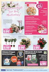 Ähnliche Angebote wie Weihnachtsstern im Prospekt "Top Angebote" auf Seite 4 von Marktkauf in Buchholz