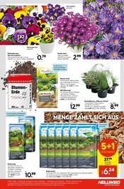 Rindenmulch im Hellweg Prospekt in Essen Aktueller Hellweg Prospekt mit Rindenmulch, "Ihr Projekt im Herbst!", Seite 23