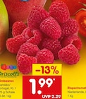Himbeeren Angebote von Driscoll's bei Netto Marken-Discount Frankfurt für 1,99 €