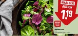 Wildkräuter Salat Angebote von REWE Beste Wahl bei REWE Lehrte für 1,19 €