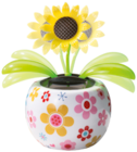 Solar-Gute-Laune-Blume im Rossmann Prospekt Solar-Gute-Laune-Blume im aktuellen Rossmann Prospekt für 3,99 €