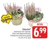 Zinkschale im Angebot bei E center in Schweinfurt Zinkschale Angebote bei E center Schweinfurt für 6,99 €