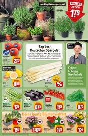 Ähnliche Angebote wie Stiefmütterchen im Prospekt "Dein Markt" auf Seite 7 von REWE in Ettlingen