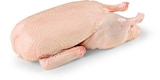 Angebot im Netto Marken-Discount Bad Staffelstein Prospekt Netto Marken-Discount Bad Staffelstein Prospekt mit im Angebot für 3,99 €