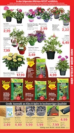 Blumenerde im Jawoll Prospekt in Dortmund Aktueller Jawoll Prospekt mit Blumenerde, "Sonderposten-Märkte", Seite 7