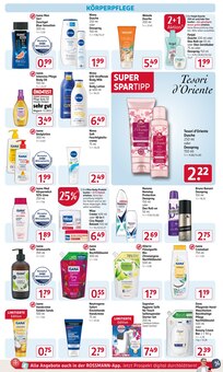 Kieselerde Angebot im aktuellen Rossmann Prospekt auf Seite 14