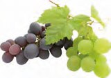 Premium-Wein im Angebot bei EDEKA in Stade Premium-Wein Angebote von Landlust bei EDEKA Stade für 3,99 €
