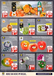 Pflanzen im EDEKA Prospekt in Buxtehude Aktueller EDEKA Prospekt mit Pflanzen, "Top Angebote", Seite 4