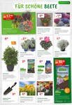 Blumenerde Blumenerde