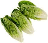 Romana Salatherzen im Angebot bei REWE in Bottrop Romana Salatherzen Angebote von REWE Regional bei REWE Bottrop für 1,29 €