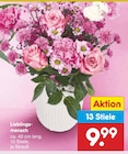 Aktuelles Lieblingsmensch Angebot bei Netto Marken-Discount in Osnabrück ab 9,99 €