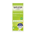 Gamme déodorant - WELEDA - Carrefour à Colombes Gamme déodorant - WELEDA en promo chez Carrefour Colombes