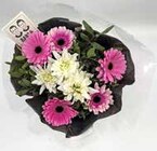 Verdel Strauß Nina kalt/warm im Angebot bei GLOBUS in Oberhausen Verdel Strauß Nina kalt/warm Angebote bei GLOBUS Oberhausen für 9,99 €