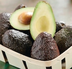 Promo Avocat Affiné à 2,49 € dans le catalogue Intermarché Super à Wacquenoux