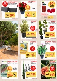 Offre Arbre Fruitier dans le catalogue Trèfle Vert du moment à la page 3