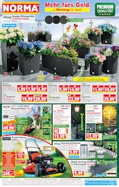 Norma Discounter Prospekt der aktuellen Woche mit 20 Seiten, gültig von 13.04.2026 bis 18.04.2026, in Großkrotzenburg und Umgebung Aktueller Norma Discounter Prospekt in Großkrotzenburg und Umgebung, "Mehr fürs Geld" mit 20 Seiten, 13.04.2026 - 18.04.2026