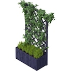 UPYARD Pflanzkasten CLASSIC im POCO Prospekt UPYARD Pflanzkasten CLASSIC im aktuellen POCO Prospekt für 54,99 €