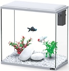 Aquarium Explorer Dublin - Aquatlantis - Botanic Aquarium Explorer Dublin - Aquatlantis à 44,99 € dans le catalogue Botanic