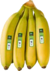 E center Itzehoe - Dominikanische Republik WWF-Bananen Angebot im Prospekt Dominikanische Republik WWF-Bananen bei E center im Itzehoe Prospekt für 1,49 €