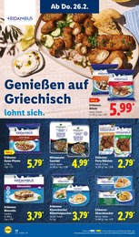 Lidl Gyros im Prospekt 