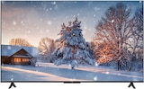 Aktuelles LED TV 43P69K Angebot bei expert in Nordhorn ab 222,00 €