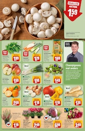 Ähnliches Angebot bei REWE in Prospekt "Dein Markt" gefunden auf Seite 11