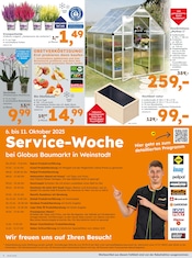 Aktueller Globus-Baumarkt Prospekt mit Gewächshaus, "Immer eine Idee besser", Seite 4