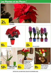 Orchidée Angebote im Prospekt "UN Noël POUR TOUS LES GOÛTS" von Carrefour auf Seite 52