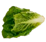 Mini Romanasalat im aktuellen EDEKA Prospekt