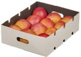 Flugmango im Angebot bei METRO in Bonn Flugmango Angebote bei METRO Bonn für 3,84 €
