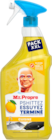 SPRAY NETTOYANT XXL MR PROPRE - MR PROPRE en promo chez Auchan Hypermarché SPRAY NETTOYANT XXL MR PROPRE - MR PROPRE dans le catalogue Auchan Hypermarché